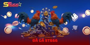 Đá Gà ST666