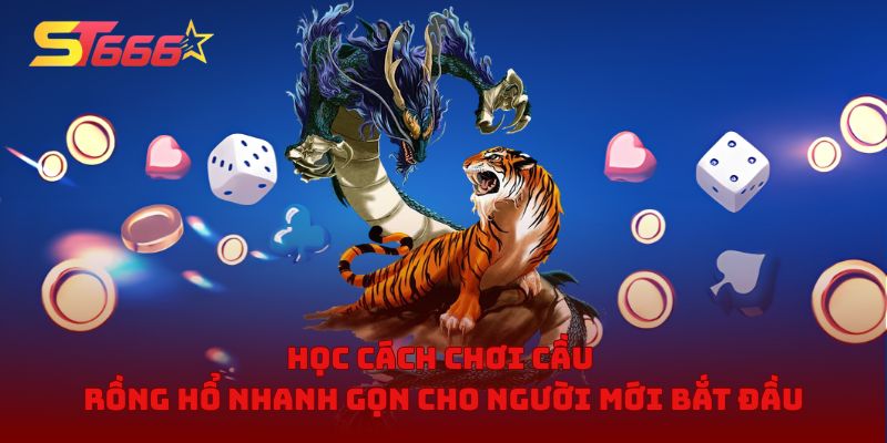 Học cách chơi cầu rồng hổ nhanh gọn cho người mới bắt đầu
